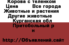 Корова с теленком › Цена ­ 69 - Все города Животные и растения » Другие животные   . Курганская обл.,Притобольный р-н